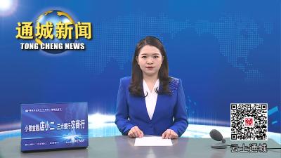 视频-文明城市 你我共建通城开展“万人洁城”活动