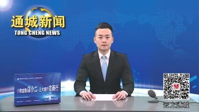 视频-通城县教育中心心理健康中心揭牌成立