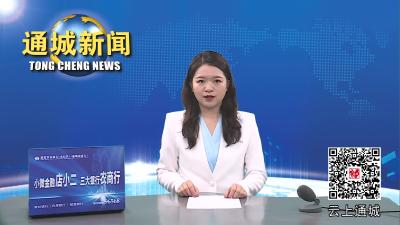 视频-2023年第4次通城县政府常务会召开 