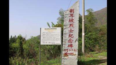 视频-清明祭英烈 割耳坡上寄哀思