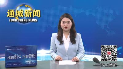 视频-全国、省、市安全防范工作视频会议相继召开 