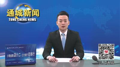 视频-通城县委党建工作领导小组2023年第一次会议召开