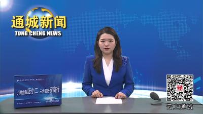 视频-杨修伟到县信访局接访