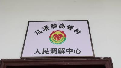 视频-通城县司法局：法治宣传进乡村 法律服务零距离