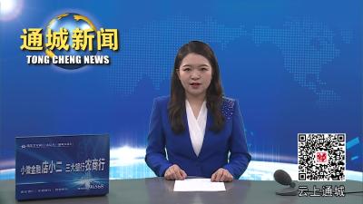 视频-省侨联来通城调研侨联基层组织建设 