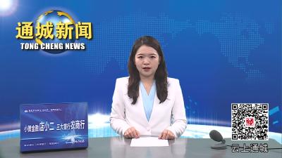 视频-县领导调研指导市场监管工作 