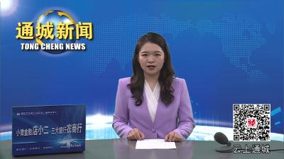 视频-杨修伟率队赴山东省开展招商考察 