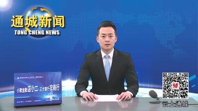 视频-2023年通城县委党校春季主体班开班