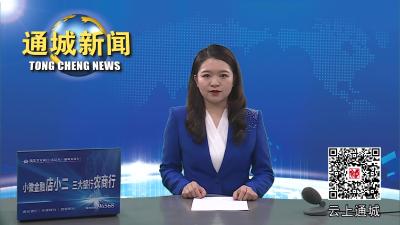 视频-通城县法院城关法庭新址正式启用 