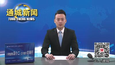 视频-通城多部门联合开展市容市貌、噪音扰民整治行动 