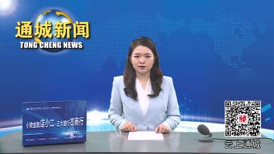 视频-通城：从严从细落实意识形态巡视整改任务 