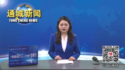 视频-通城举行总体国家安全观专题讲座 