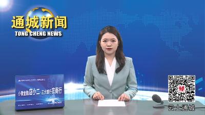 视频-巴东县党政代表团来隽考察生物医药产业 