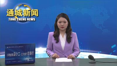 视频-【课后回访②】通城科协：为通城打造中部地区制造业强县聚智聚力 