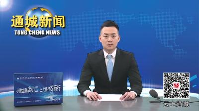 视频-通城教育系统“大学习、大反思、大整顿、大提升”三年行动动员会召开 