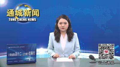 视频-【“共同缔造”人大代表在行动13】马港镇开展“聚力共同缔造 共建平安马港”代表行动