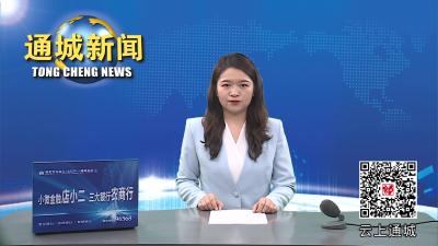 视频-省供销社调研组来通城调研 