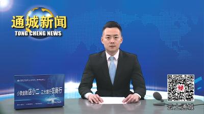 视频-【“共同缔造”人大代表在行动②】五里镇开展“聚力共同缔造·助力基层治理”代表行动 