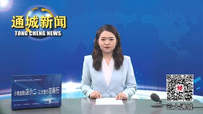 视频-通城县委理论学习中心组开展集中学习