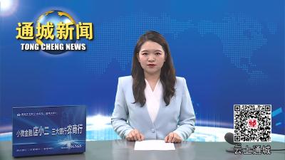 视频-通城县举行2023年离队入团仪式示范性活动