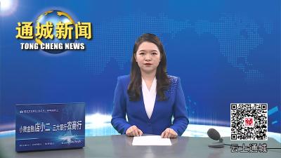 视频-“通平修”绿色发展先行区首届文化旅游消费季活动座谈会在通城召开