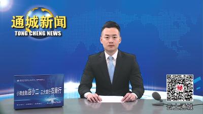 视频-通城县安排部署配合咸宁市创建国家食品安全示范城市工作 