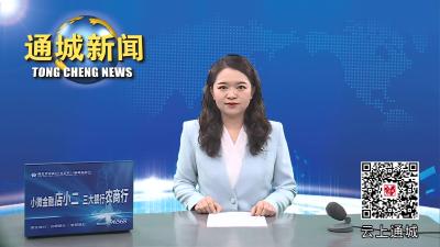 视频-通城县教育系统2023年重大事故隐患专项排查整治暨预防青少年儿童溺水工作会召开