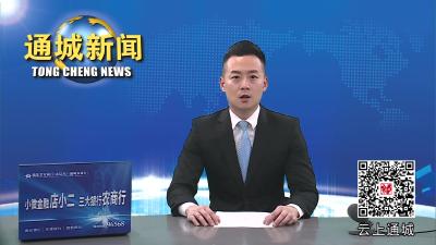 视频-通城督导检查防汛备汛工作 