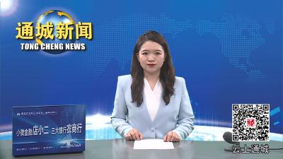 视频-【监督执纪在一线】 通城：开展专项治理 净化教育生态