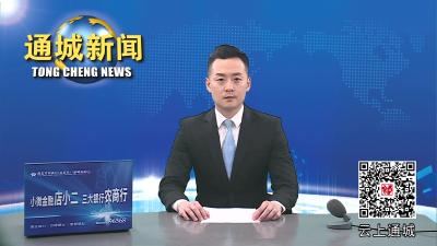 视频-省卫健委来通城调研乡村振兴和医疗卫生体系建设工作 