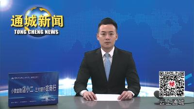 视频-通城县召开省委巡视反馈意见整改工作推进会 