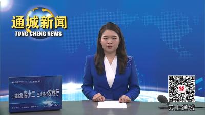 视频-2023年第6次通城县政府常务会召开