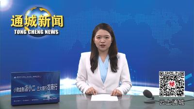 视频-通城县召开2023年优化营商环境暨政务公开大会 