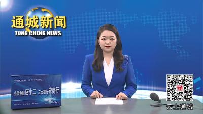 视频-共同守护绿水青山！通城196名“环保卫士”集中充电