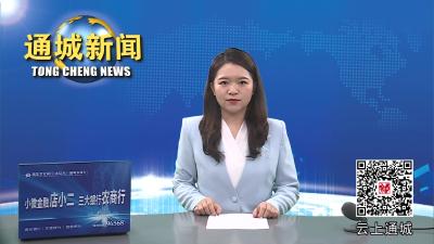 视频-通城县政协调研教育发展工作