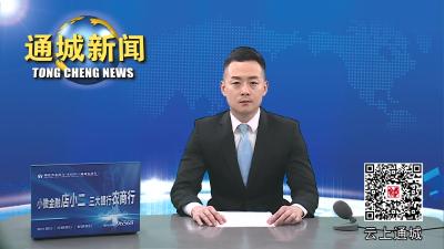 视频-通城县开展公务用车及公务加油卡管理不规范专项检查 
