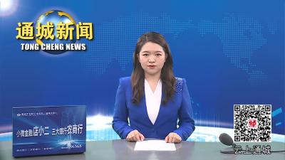 视频-省委组织部调研组来通城调研干部教育培训工作
