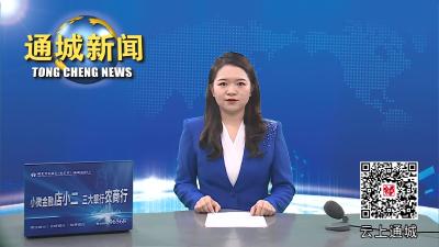 视频-通城县人社局举办专场招聘会 提供就业岗位780个