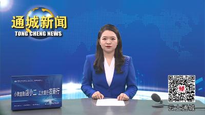 视频-【“共同缔造”人大代表在行动⑨】四庄乡开展“聚力共同缔造·共建花果四庄”代表行动