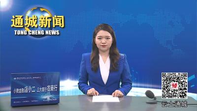 视频-市人大常委会来通城调研医养结合发展和医保基金运行情况