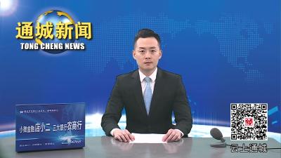 视频-【“共同缔造”人大代表在行动⑪】塘湖镇开展“聚力共同缔造·助推乡村治理”代表行动 