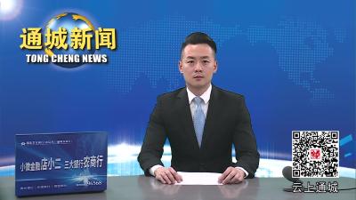 视频-通城向乡村振兴领域不正之风和腐败问题亮剑 