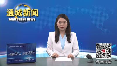 视频-总投资53.74亿元！通城县2023年第二季度重大项目集中开工