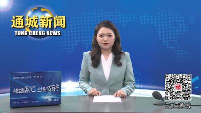 视频-咸宁市总工会、通城县总工会到荻田小学开展“六一”儿童节关爱慰问