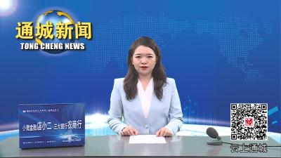 视频-通城：推进小流域综合治理 构建人水和谐生态