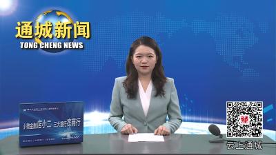 视频-中国发明协会来通城考察交流 