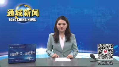 视频-通城县“普通话乡村行”活动走进马港镇 