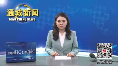 视频-县人民法院举行“法治宣传开放日”暨“六一”普法宣传活动
