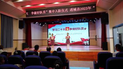 视频-通城县举行“学习二十大 争做好队员”集中入队仪式示范性活动
