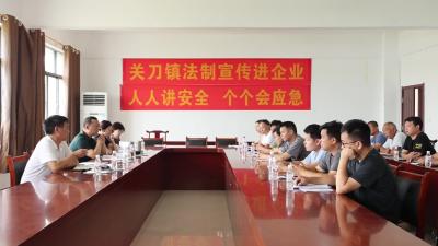 视频-安全生产月 关刀镇开展安全宣传进校园、进企业活动 